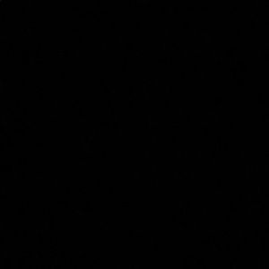 Meet your Posher, Tahara